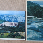 CCCP: kolme vintage valokuvakorttia - Jalta (Krim) - pikkukuva 1