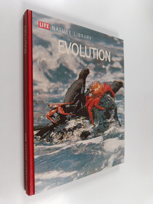 Ruth Moore : Evolution