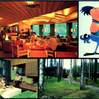 Rantasipi, Summassaari, Saarijärvi, kulkenut - pikkukuva 1