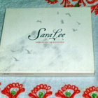 CD & DVD Damnation To Salvation – Sara Lee - pikkukuva 1