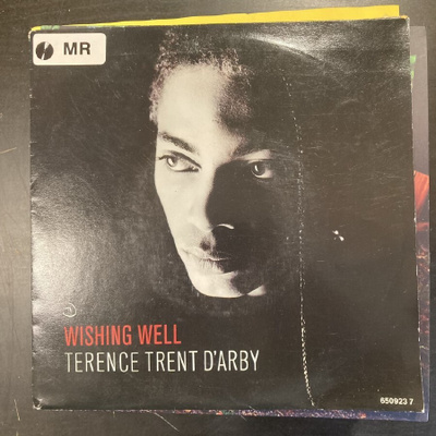 Terence Trent D'Arby - Wishing Well 7''