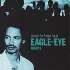 Eagle-Eye Cherry :  Living in The Present Future  -  CD - pikkukuva 1