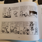 LASSI ja LEEVI: JUHLAKIRJA 5, kovakantinen - pikkukuva 5