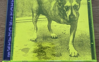 Alice In Chains Alice In Chains CD