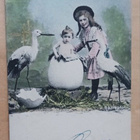 Haikarat ja tyttö valvovat, munasta syntyy lapsi p. 1903 - pikkukuva 1