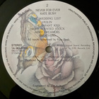[LP] KATE BUSH: NEVER FOR EVER - pikkukuva 5