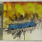 Praise Brothers • Palvottu Jeesus CD - pikkukuva 1