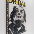 Salvador Dali : Neron päiväkirja - pikkukuva 1