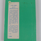 Astrid Lindgren : Kati Amerikassa - pikkukuva 2