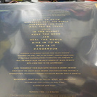 MICHAEL JACKSON - DANGEROUS AUSTRIA - 93 PRESS LASERDISC - pikkukuva 2