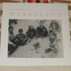 JANNE WESTERLUND ~ Marshland ~ LP kelmussa MINT - pikkukuva 1