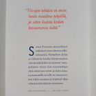 Sanna Puutonen : Sydänmuuri - pikkukuva 2