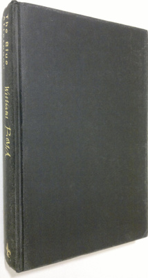 William Boyd : The Blue Afternoon