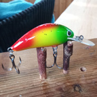 Salmo  Floating Hornet 4 KOM - pikkukuva 1