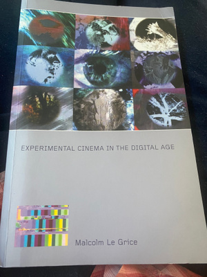 Experimental Cinema in the Digital Age - Malcolm Le Grice