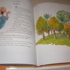 Satusaari Lumottu metsä - pikkukuva 3