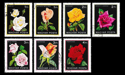 Unkari 3548-54 o Ruusut (1982)