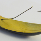 Rapala Minnow spoon 7cm - pikkukuva 2