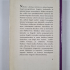 Vladimir Nabokov : Nikolai Gogol - pikkukuva 2