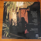 Leevi and the Leavings:Unelmia ja toiveita LP - pikkukuva 2