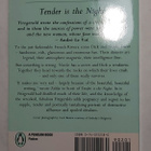 F. Scott Fitzgerald - Tender is the Night - pikkukuva 3