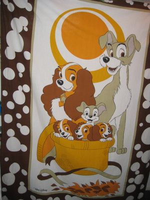 Aito Disney Verho