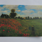 Monet: Unikkopelto, tk - pikkukuva 1