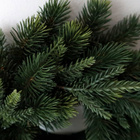 Havukranssi 35 cm - pikkukuva 4