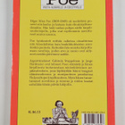 Gabriela Stoppelman : Edgar Allan Poe vasta-alkaville ja ... - pikkukuva 2