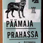 Alexander Söderberg: Andalusialainen ystävä / Kolumbialainen - pikkukuva 3