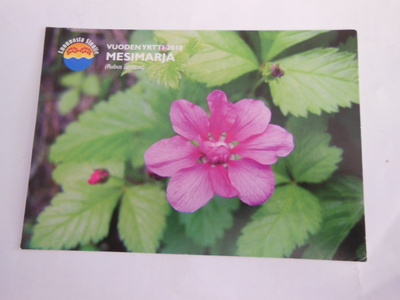 Mesimarja