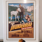 THUNDERHEAD SON OF FLICKA DVD - pikkukuva 1