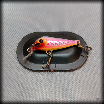 *Onki45* Blueback Pink