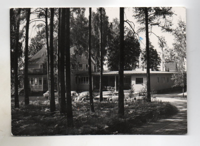 Lohja: Vivamo