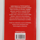 Heikkiarmas Lukkari : Eallit samis - pikkukuva 2