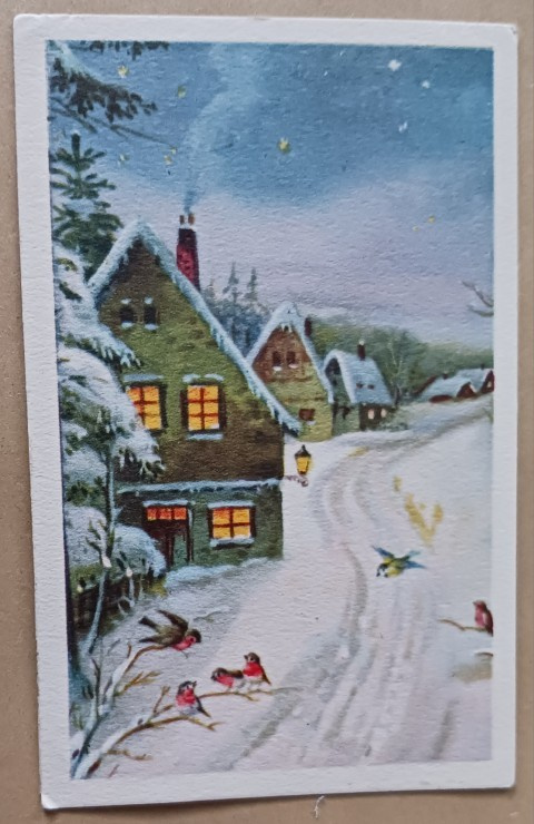 Pikkulintuja, talot kylän raitilla, p. 1953 + r.Tubi-jm
