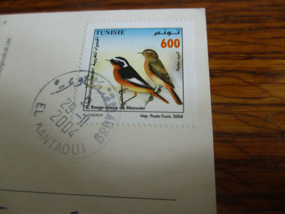 päivi ristiharju pk kulku 2002 tunisia sepelleppälintu posti