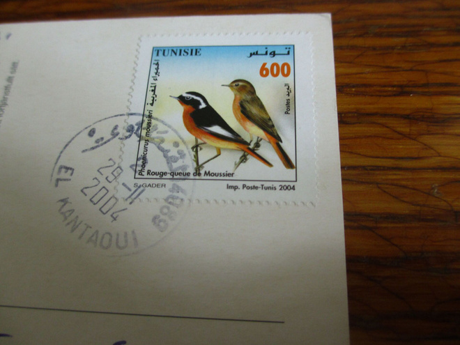 päivi ristiharju pk kulku 2002 tunisia sepelleppälintu posti