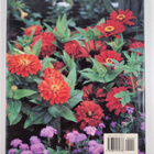 Anne M. Zeman : Fifty Easy Old-fashioned Flowers - pikkukuva 2