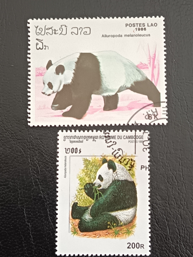 Pandoja