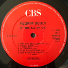 [LP] PILGRIM SOULS: IS THIS ALL OF US? - pikkukuva 4