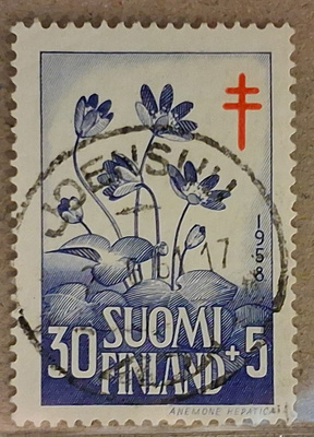 1958 30mk TUB: Nappiloisto Joensuu 2.6.61 (1152)