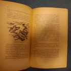 V. Aimala: Tavallisimmat häkkilintumme (1.p.1920) Sis.pk:t - pikkukuva 4