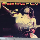 Bob Marley LP - pikkukuva 1
