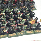 WHFB - Battle for Skull Pass figuurit + maastot [F87] - pikkukuva 3