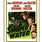 SWAMP WATER - SUURSUON SALAISUUS (429) -FI- DVD dana andrew - pikkukuva 2
