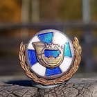 SA - RR merkki. Halkaisija - 15 mm. Emalinen. Hyväkuntoinen. - pikkukuva 3