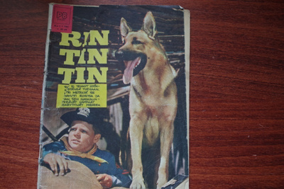 Rin-Tin-Tin 5 /1961