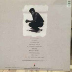 Tracy Chapman - Crossroads LP - pikkukuva 2