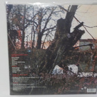 BLACK SABBATH S/T UUSI DELUXE EDIT REMASTERED 180G 2LP 2016 - pikkukuva 2